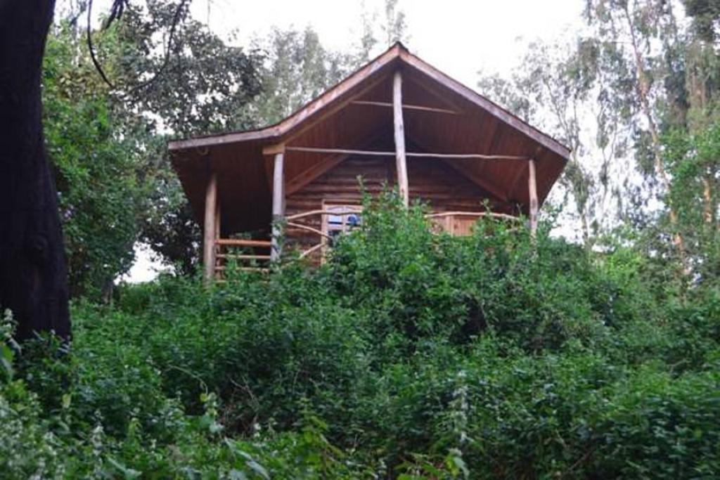 Lake Bunyonyi Eco Resort Chabahinga Habitación foto